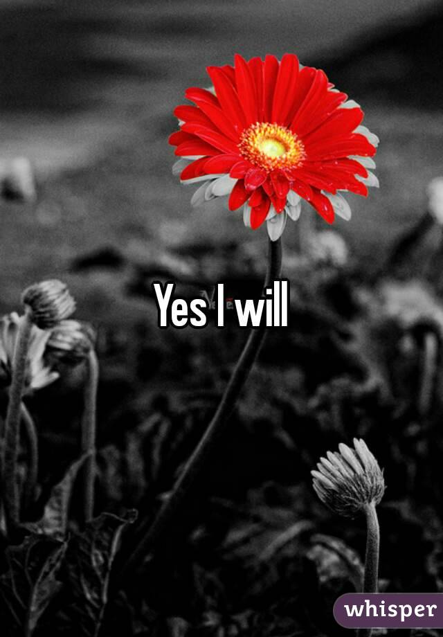 Yes I will
