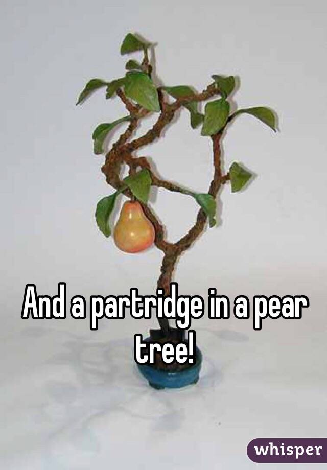 And a partridge in a pear tree!