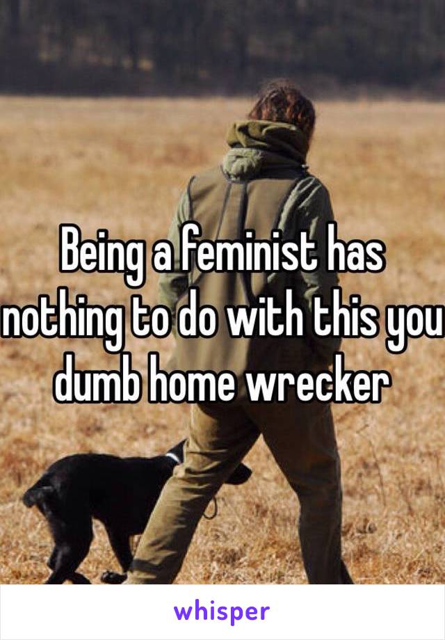 Being a feminist has nothing to do with this you dumb home wrecker 