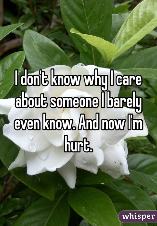 I don't know why I care about someone I barely even know. And now I'm hurt.
