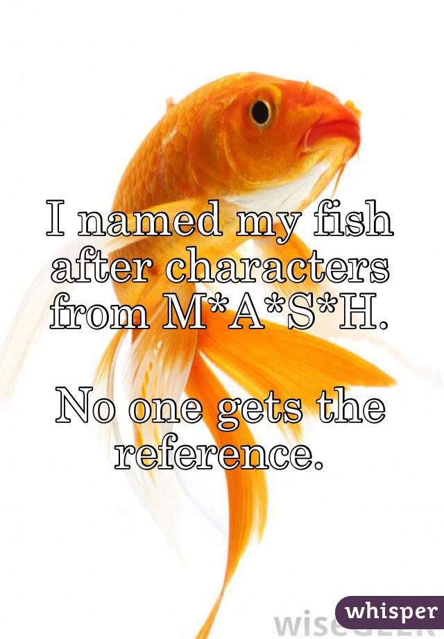 I named my fish after characters from M*A*S*H.

No one gets the reference.