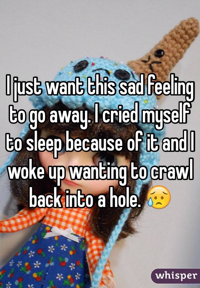I just want this sad feeling to go away. I cried myself to sleep because of it and I woke up wanting to crawl back into a hole. 😥