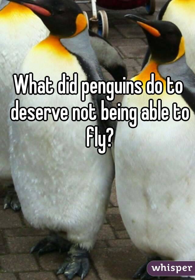 What did penguins do to deserve not being able to fly?