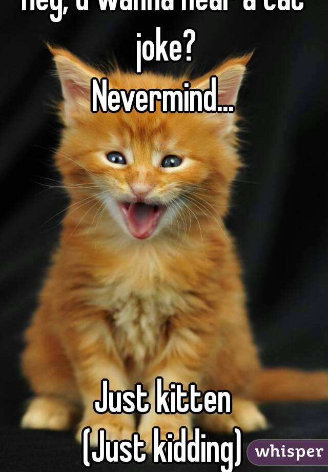 Hey, u wanna hear a cat joke?
Nevermind...





Just kitten
(Just kidding)