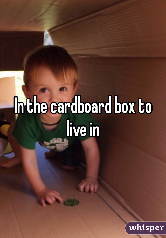 In the cardboard box to live in 