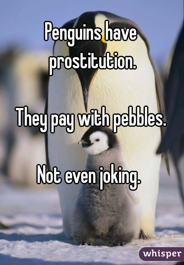 Penguins have prostitution.

They pay with pebbles.

Not even joking. 