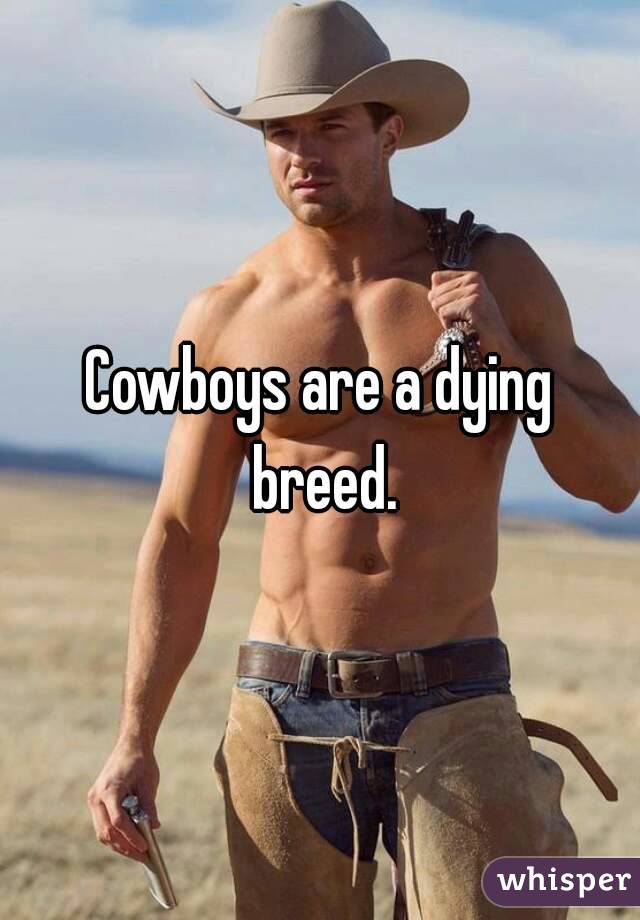 Cowboys are a dying breed.