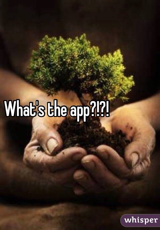 What's the app?!?!