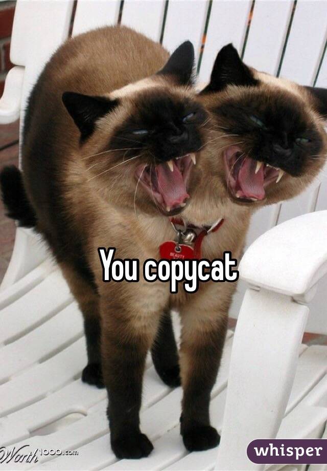 You copycat
