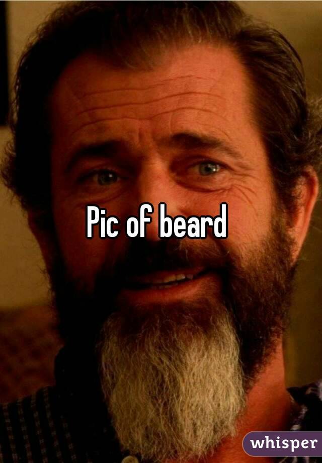 Pic of beard 