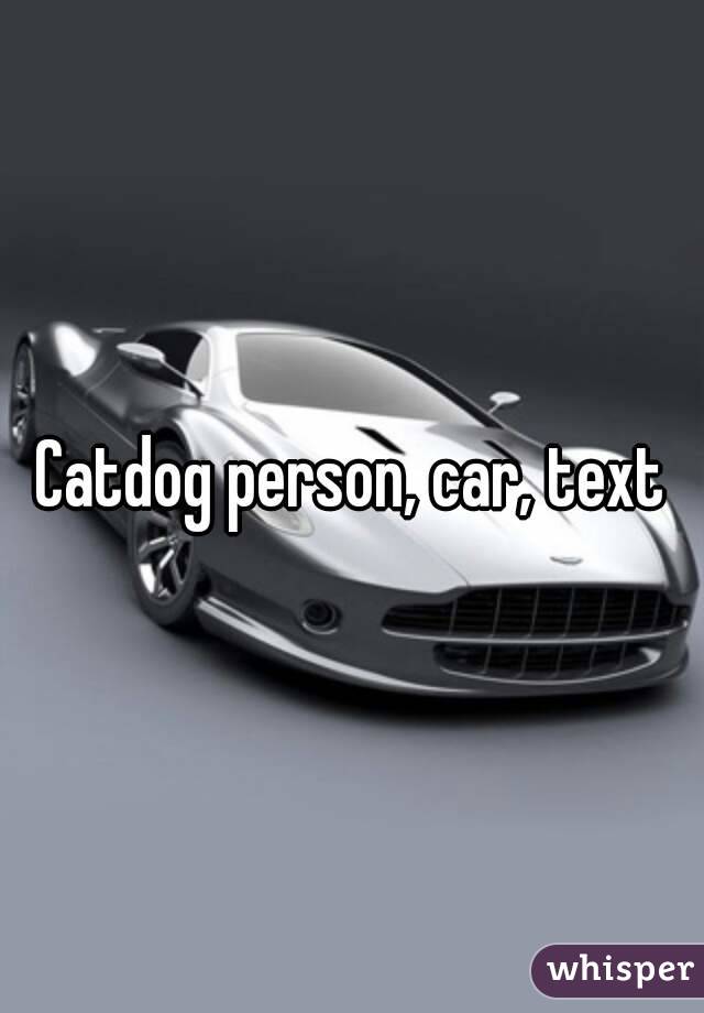 Catdog person, car, text