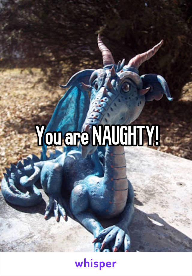 You are NAUGHTY!