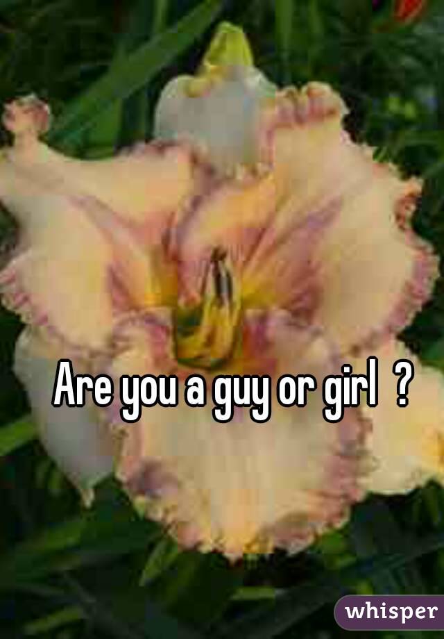 Are you a guy or girl  ? 