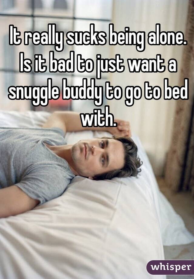 It really sucks being alone. 
Is it bad to just want a snuggle buddy to go to bed with. 