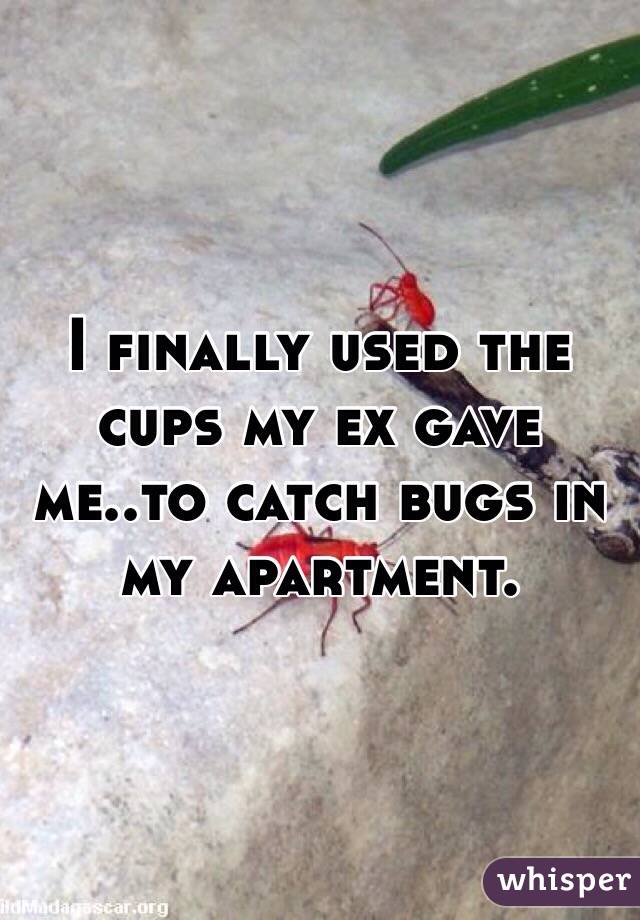 I finally used the cups my ex gave me..to catch bugs in my apartment. 