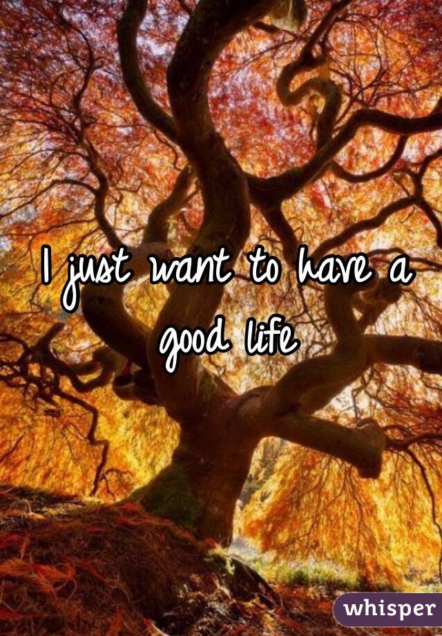 I just want to have a good life