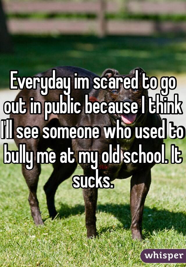 Everyday im scared to go out in public because I think I'll see someone who used to bully me at my old school. It sucks. 