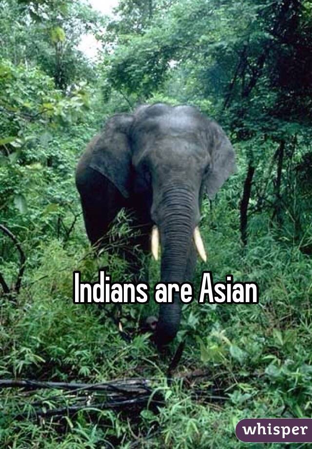Indians are Asian