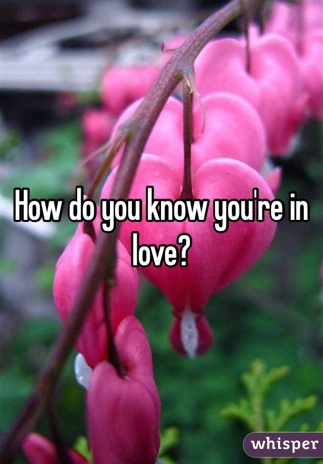 How do you know you're in love?