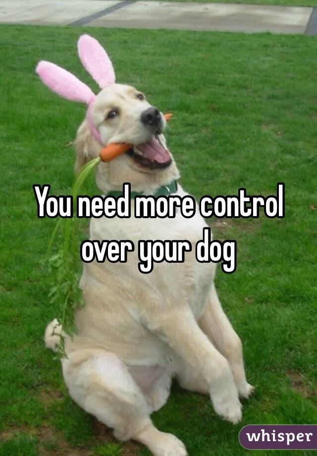 You need more control over your dog