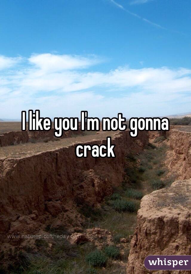 I like you I'm not gonna crack