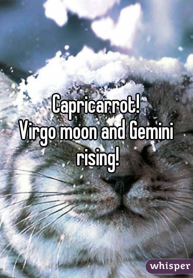 Capricarrot!
Virgo moon and Gemini rising!