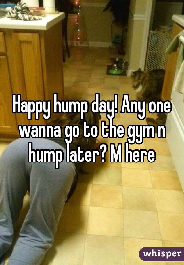 Happy hump day! Any one wanna go to the gym n hump later? M here 