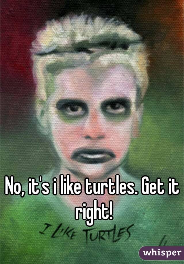 No, it's i like turtles. Get it right!