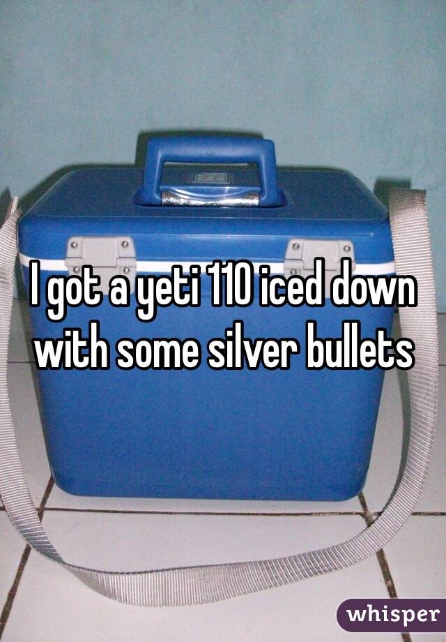 Yeti 110 iced down with some silver sales bullets