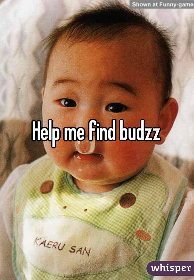 Help me find budzz