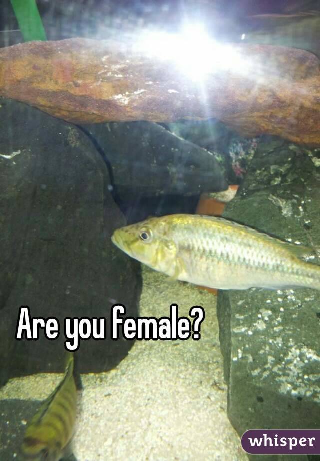 Are you female?