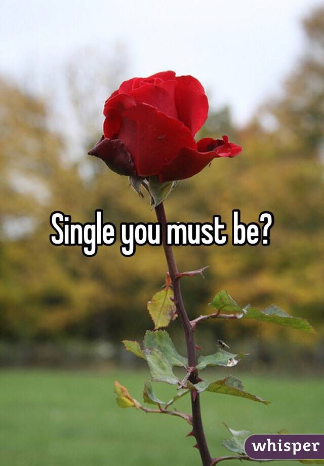 Single you must be?