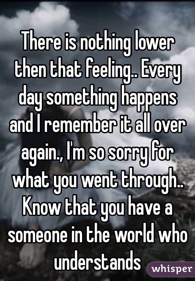 There is nothing lower then that feeling.. Every day something happens and I remember it all over again., I'm so sorry for what you went through.. Know that you have a someone in the world who understands 