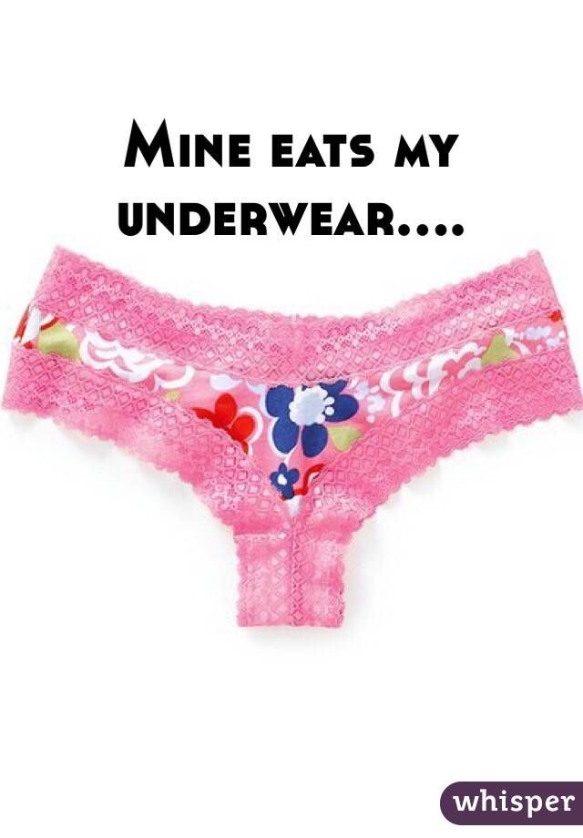 Mine eats my underwear....