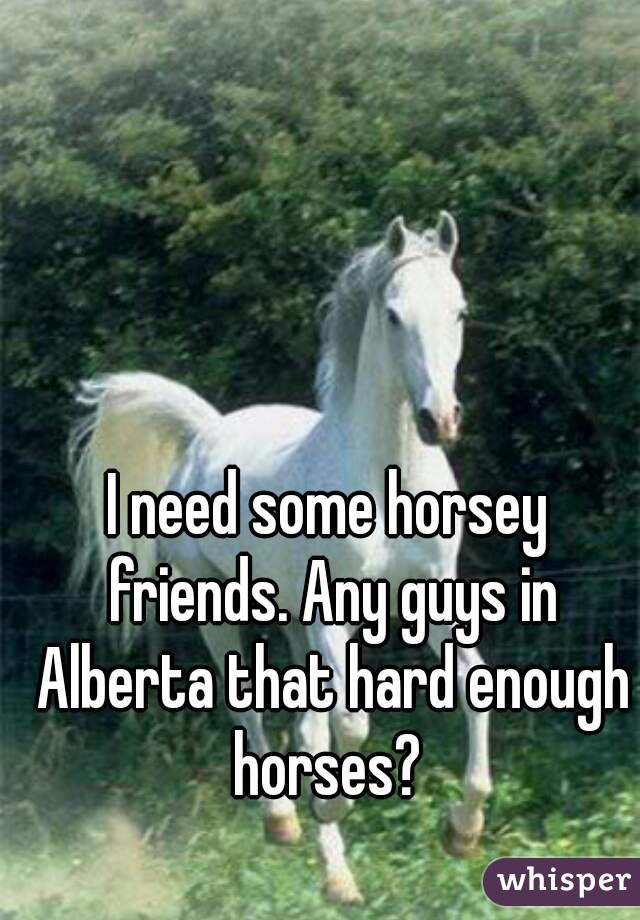 I need some horsey friends. Any guys in Alberta that hard enough horses? 
