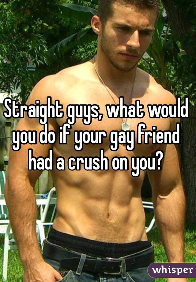 Straight guys, what would you do if your gay friend had a crush on you?