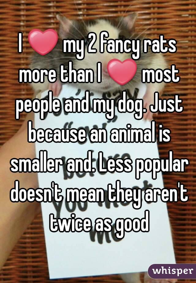 I ❤ my 2 fancy rats more than I ❤ most people and my dog. Just because an animal is smaller and. Less popular doesn't mean they aren't twice as good