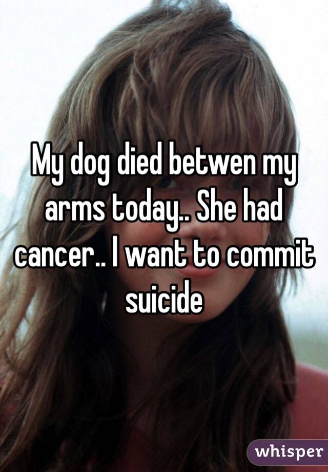 My dog died betwen my arms today.. She had cancer.. I want to commit suicide