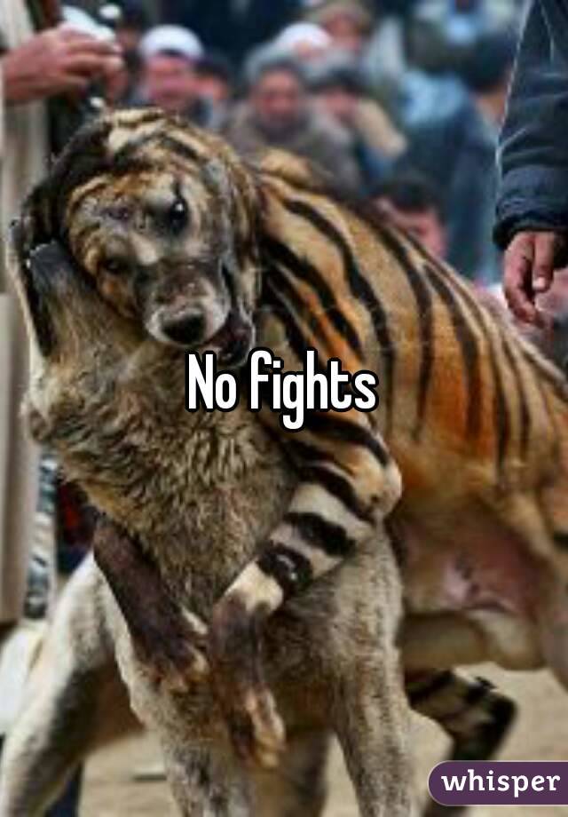 No fights