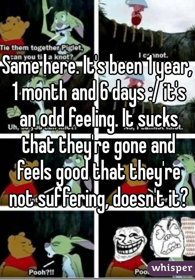 Same here. It's been 1 year, 1 month and 6 days :/ it's an odd feeling. It sucks that they're gone and feels good that they're not suffering, doesn't it?