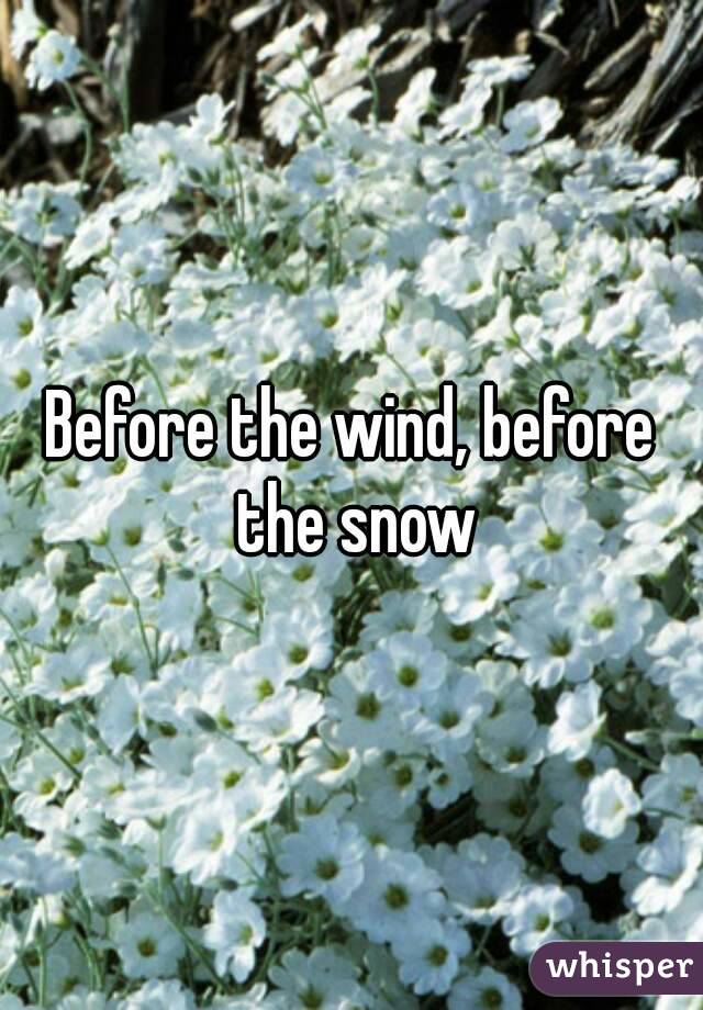 Before the wind, before the snow
