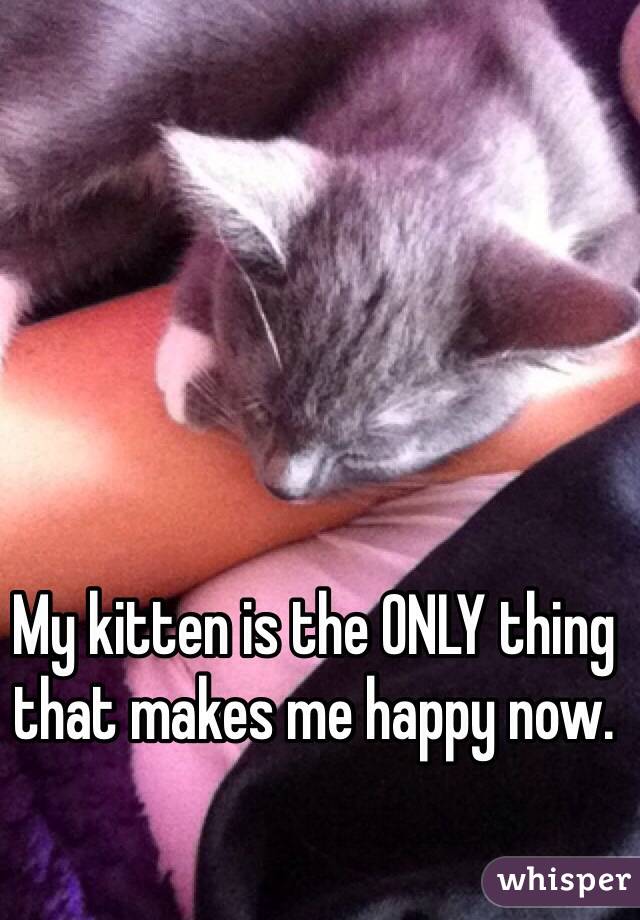 My kitten is the ONLY thing that makes me happy now. 