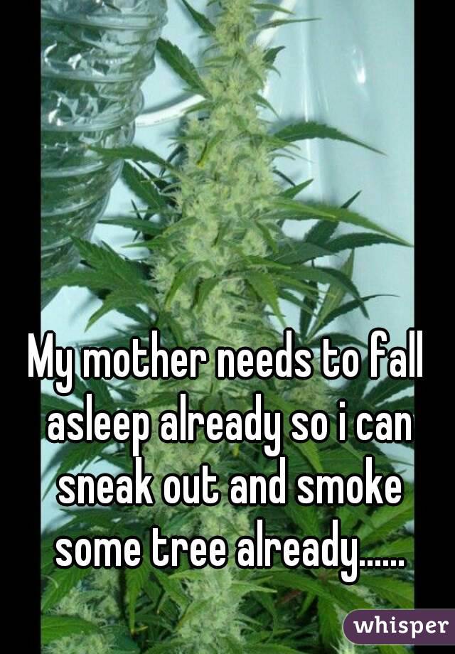 My mother needs to fall asleep already so i can sneak out and smoke some tree already......