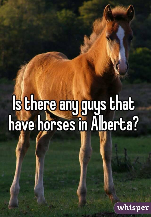 Is there any guys that have horses in Alberta? 