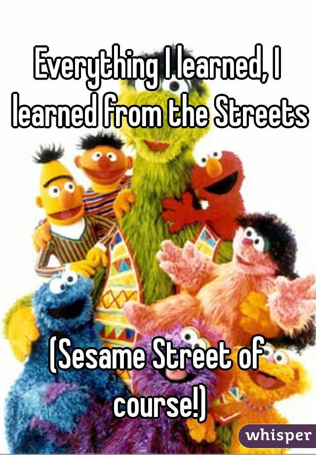 Everything I learned, I learned from the Streets




(Sesame Street of course!)