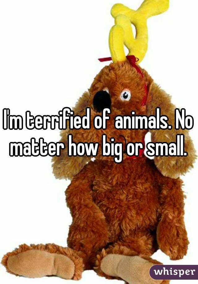 I'm terrified of animals. No matter how big or small. 