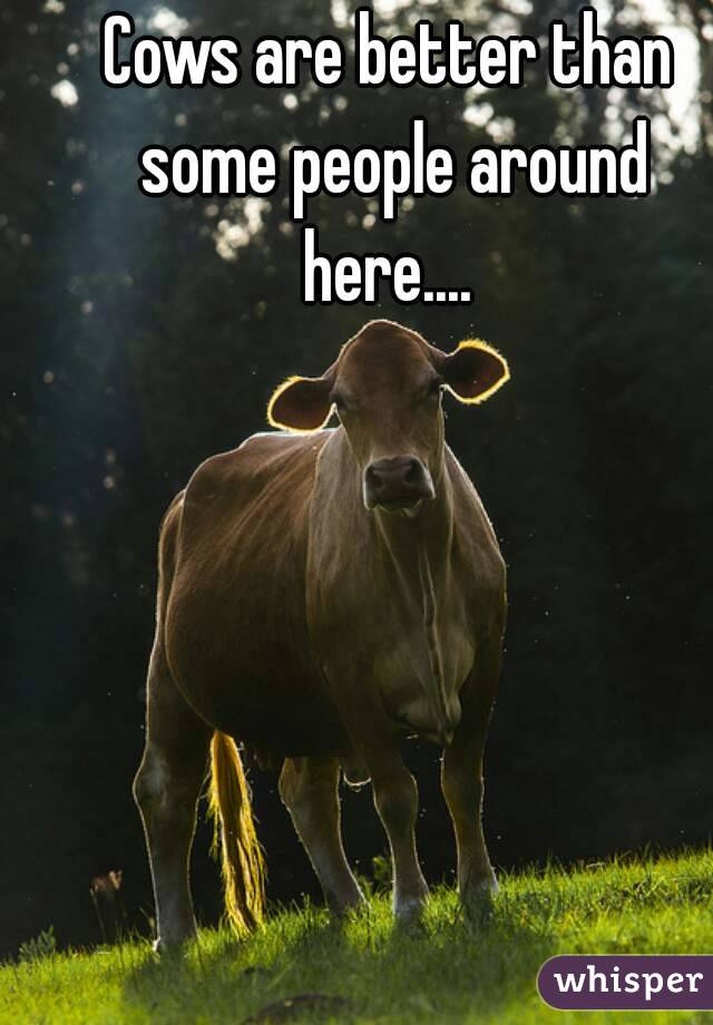 Cows are better than some people around here.... 