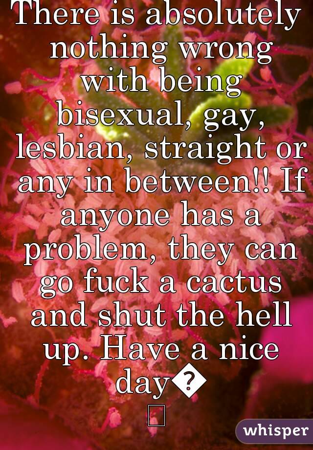 There is absolutely nothing wrong with being bisexual, gay, lesbian, straight or any in between!! If anyone has a problem, they can go fuck a cactus and shut the hell up. Have a nice day😊