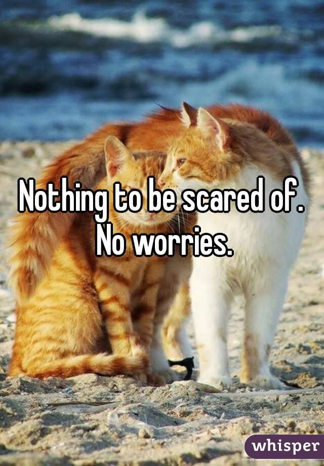 Nothing to be scared of. No worries.
