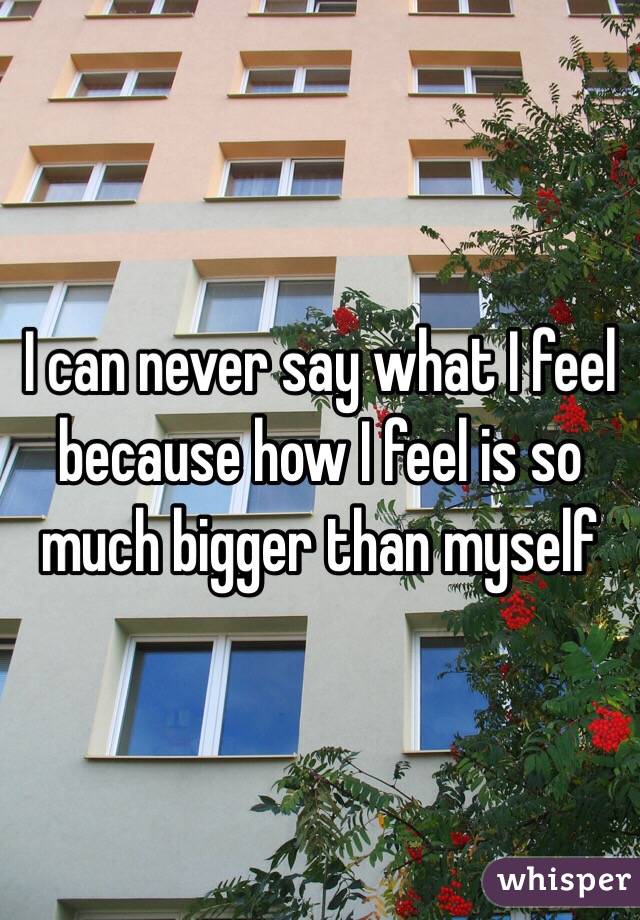 I can never say what I feel because how I feel is so much bigger than myself